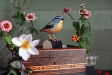 Load image into Gallery viewer, Hand Carved DecoBird Spotted Pardalote