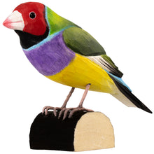 Load image into Gallery viewer, Hand Carved DecoBird Gouldian Finch