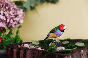 Hand Carved DecoBird Gouldian Finch