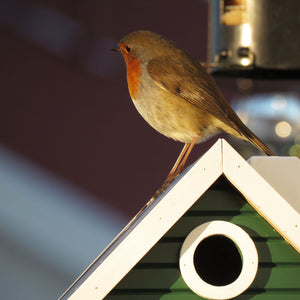 Multiholk - Green Cottage Bird Feeder Bird House