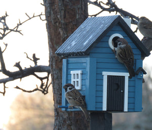 Multiholk - Blue Cottage Bird Feeder Bird House