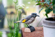 Load image into Gallery viewer, Hand Carved DecoBird New Holland Honeyeater