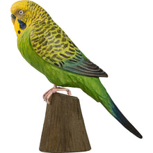 Load image into Gallery viewer, Hand Carved DecoBird Budgerigar